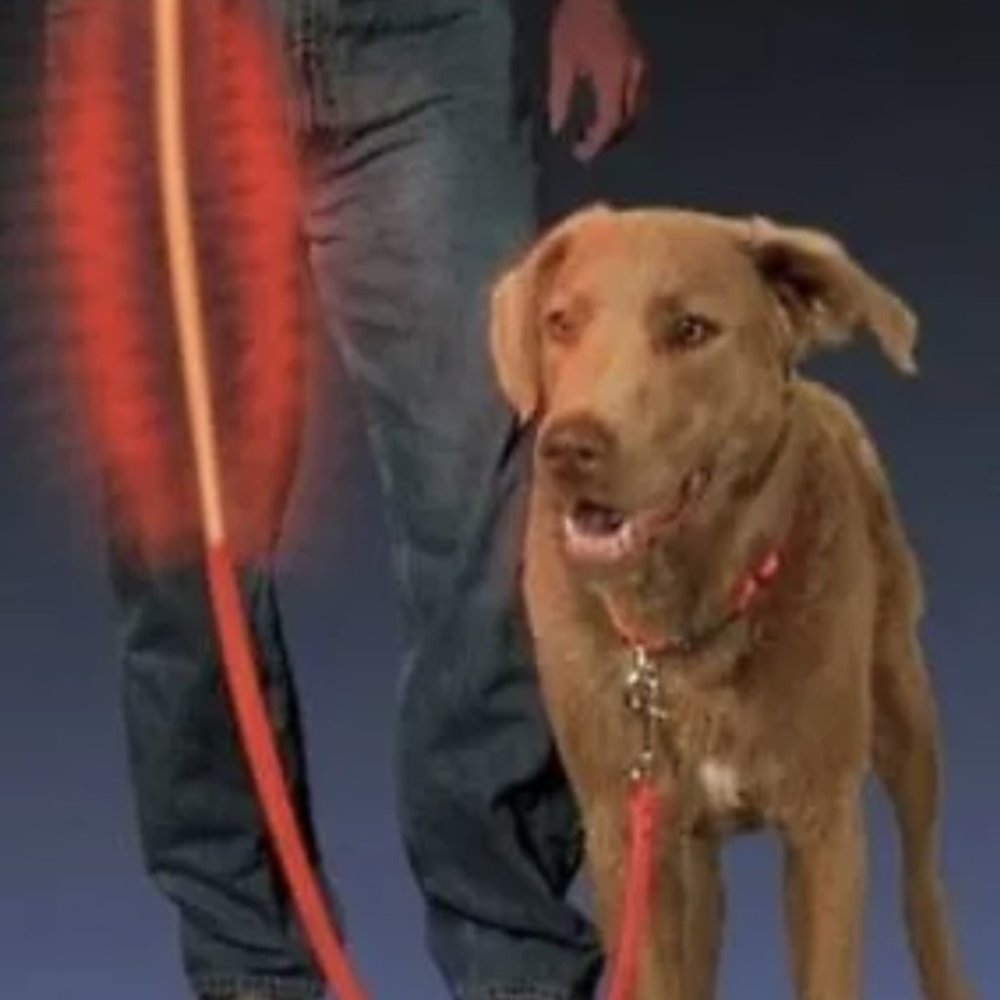 NWT Nite Ize Nite Dawg LED Pet Leash Red Glow & Flash Modes Reflective Dog Leash